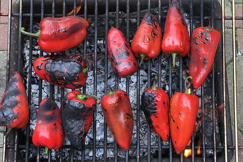 grilling peppers for ajvar spread