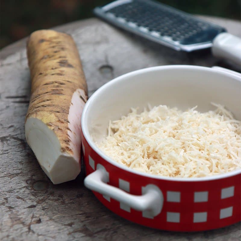 Croatia food horseradish sauce