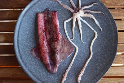 Adriatic squid jadranske lignje