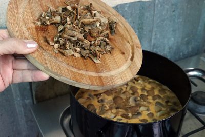 mushroom goulash with poricini